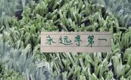 kaiyun下载 -意外(wài)！第13輪(lún)中(zhōng)超传球成功(gōng)率(lǜ)前5都(dōu)没有(yǒu)赢！其中(zhōng)就有(yǒu)排名最高北京国安