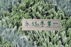 kaiyun下载 -意外(wài)！第13輪(lún)中(zhōng)超传球成功(gōng)率(lǜ)前5都(dōu)没有(yǒu)赢！其中(zhōng)就有(yǒu)排名最高北京国安