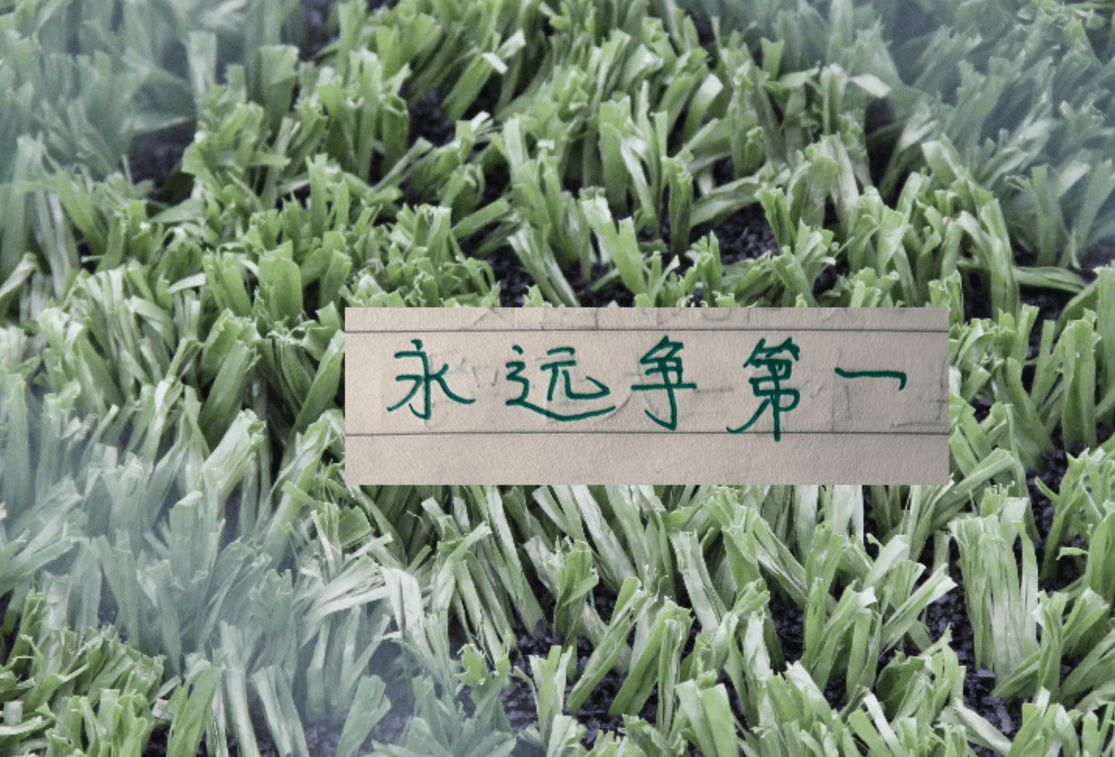 意外!第13轮中超传球成功率前5都没有赢!其中就有排名最高北京国安